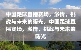 中国足球直播赛场，激情、挑战与未来的曙光，中国足球直播赛场，激情、挑战与未来的曙光