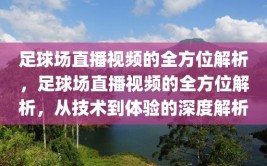 足球场直播视频的全方位解析，足球场直播视频的全方位解析，从技术到体验的深度解析