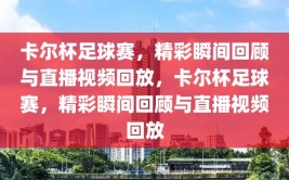 卡尔杯足球赛，精彩瞬间回顾与直播视频回放，卡尔杯足球赛，精彩瞬间回顾与直播视频回放