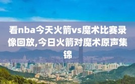 看nba今天火箭vs魔术比赛录像回放,今日火箭对魔术原声集锦