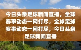 今日头条足球新闻直播，全球赛事动态一网打尽，全球足球赛事动态一网打尽，今日头条足球新闻直播