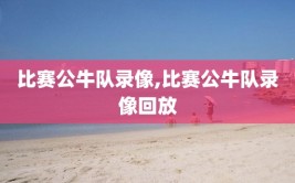 比赛公牛队录像,比赛公牛队录像回放