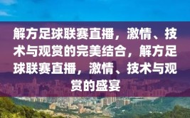 解方足球联赛直播，激情、技术与观赏的完美结合，解方足球联赛直播，激情、技术与观赏的盛宴