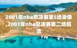 2001年nba总决赛第5场录像,2001年nba总决赛第二场超清