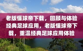 老版懂球帝下载，回顾与体验经典足球应用，老版懂球帝下载，重温经典足球应用体验