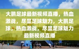 大鹏足球最新视频直播，热血激战，尽显足球魅力，大鹏足球，热血激战，尽显足球魅力最新视频直播