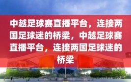 中越足球赛直播平台，连接两国足球迷的桥梁，中越足球赛直播平台，连接两国足球迷的桥梁