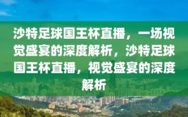 沙特足球国王杯直播，一场视觉盛宴的深度解析，沙特足球国王杯直播，视觉盛宴的深度解析