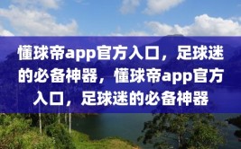 懂球帝app官方入口，足球迷的必备神器，懂球帝app官方入口，足球迷的必备神器