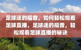 足球迷的福音，如何轻松观看足球直播，足球迷的福音，轻松观看足球直播的秘诀