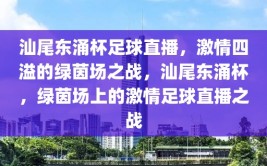 汕尾东涌杯足球直播，激情四溢的绿茵场之战，汕尾东涌杯，绿茵场上的激情足球直播之战