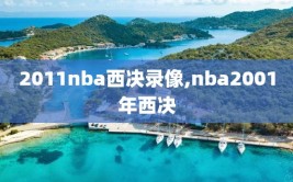 2011nba西决录像,nba2001年西决