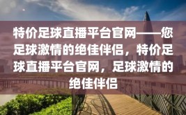 特价足球直播平台官网——您足球激情的绝佳伴侣，特价足球直播平台官网，足球激情的绝佳伴侣