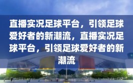 直播实况足球平台，引领足球爱好者的新潮流，直播实况足球平台，引领足球爱好者的新潮流