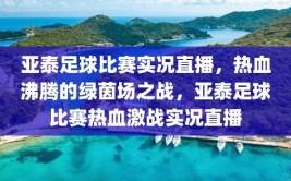 亚泰足球比赛实况直播，热血沸腾的绿茵场之战，亚泰足球比赛热血激战实况直播