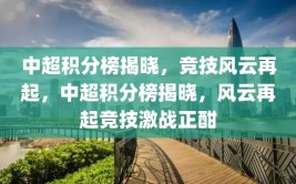 中超积分榜揭晓，竞技风云再起，中超积分榜揭晓，风云再起竞技激战正酣