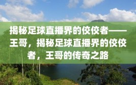 揭秘足球直播界的佼佼者——王哥，揭秘足球直播界的佼佼者，王哥的传奇之路