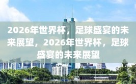 2026年世界杯，足球盛宴的未来展望，2026年世界杯，足球盛宴的未来展望