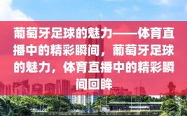 葡萄牙足球的魅力——体育直播中的精彩瞬间，葡萄牙足球的魅力，体育直播中的精彩瞬间回眸