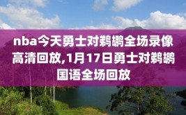 nba今天勇士对鹈鹕全场录像高清回放,1月17日勇士对鹈鹕国语全场回放