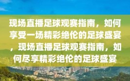 现场直播足球观赛指南，如何享受一场精彩绝伦的足球盛宴，现场直播足球观赛指南，如何尽享精彩绝伦的足球盛宴