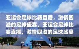 亚运会足球比赛直播，激情四溢的足球盛宴，亚运会足球比赛直播，激情四溢的足球盛宴