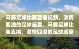 马赛足球比赛直播视频，激情四溢的足球盛宴，马赛足球比赛直播，激情四溢的足球盛宴