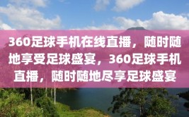 360足球手机在线直播，随时随地享受足球盛宴，360足球手机直播，随时随地尽享足球盛宴