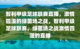 智利甲级足球联赛直播，激情四溢的绿茵场之战，智利甲级足球联赛，绿茵场之战激情四溢的直播