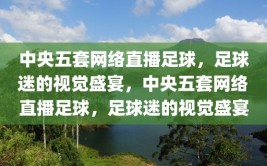 中央五套网络直播足球，足球迷的视觉盛宴，中央五套网络直播足球，足球迷的视觉盛宴