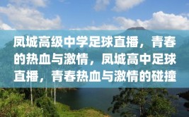 凤城高级中学足球直播，青春的热血与激情，凤城高中足球直播，青春热血与激情的碰撞