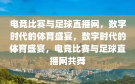 电竞比赛与足球直播网，数字时代的体育盛宴，数字时代的体育盛宴，电竞比赛与足球直播网共舞