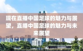 现在直播中国足球的魅力与展望，直播中国足球的魅力与未来展望