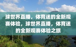 球世界直播，体育迷的全新观赛体验，球世界直播，体育迷的全新观赛体验之旅