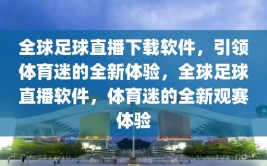 全球足球直播下载软件，引领体育迷的全新体验，全球足球直播软件，体育迷的全新观赛体验