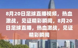 8月20日足球直播视频，热血激战，见证精彩瞬间，8月20日足球直播，热血激战，见证精彩瞬间