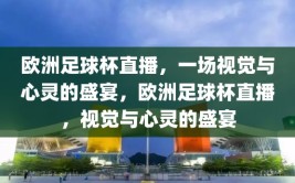 欧洲足球杯直播，一场视觉与心灵的盛宴，欧洲足球杯直播，视觉与心灵的盛宴