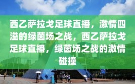 西乙萨拉戈足球直播，激情四溢的绿茵场之战，西乙萨拉戈足球直播，绿茵场之战的激情碰撞