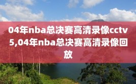 04年nba总决赛高清录像cctv5,04年nba总决赛高清录像回放