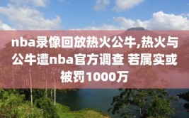 nba录像回放热火公牛,热火与公牛遭nba官方调查 若属实或被罚1000万