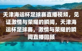 天津海运杯足球赛直播视频，见证激情与荣耀的瞬间，天津海运杯足球赛，激情与荣耀的瞬间直播回顾