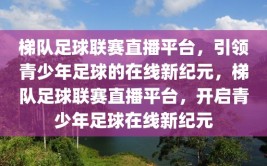 梯队足球联赛直播平台，引领青少年足球的在线新纪元，梯队足球联赛直播平台，开启青少年足球在线新纪元