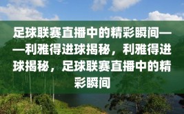 足球联赛直播中的精彩瞬间——利雅得进球揭秘，利雅得进球揭秘，足球联赛直播中的精彩瞬间