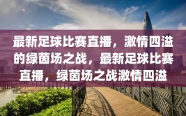 最新足球比赛直播，激情四溢的绿茵场之战，最新足球比赛直播，绿茵场之战激情四溢