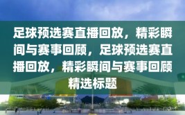 足球预选赛直播回放，精彩瞬间与赛事回顾，足球预选赛直播回放，精彩瞬间与赛事回顾精选标题