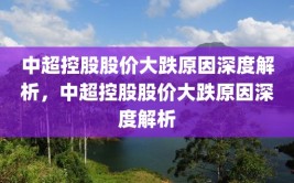 中超控股股价大跌原因深度解析，中超控股股价大跌原因深度解析