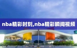 nba精彩时刻,nba精彩瞬间视频