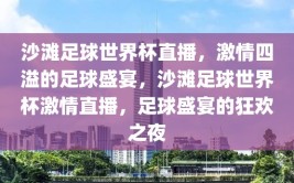 沙滩足球世界杯直播，激情四溢的足球盛宴，沙滩足球世界杯激情直播，足球盛宴的狂欢之夜