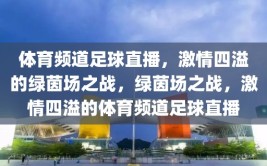 体育频道足球直播，激情四溢的绿茵场之战，绿茵场之战，激情四溢的体育频道足球直播