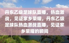 丹东乙级足球队直播，热血激战，见证家乡荣耀，丹东乙级足球队热血激战直播，见证家乡荣耀的瞬间